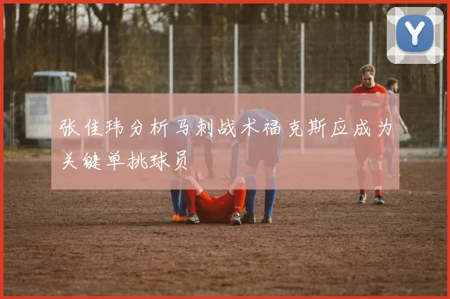 张佳玮分析马刺战术福克斯应成为关键单挑球员