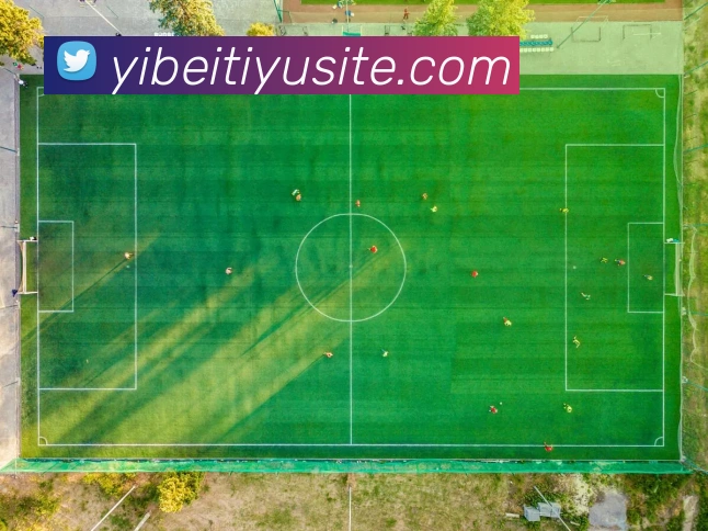 多媒体互动体验